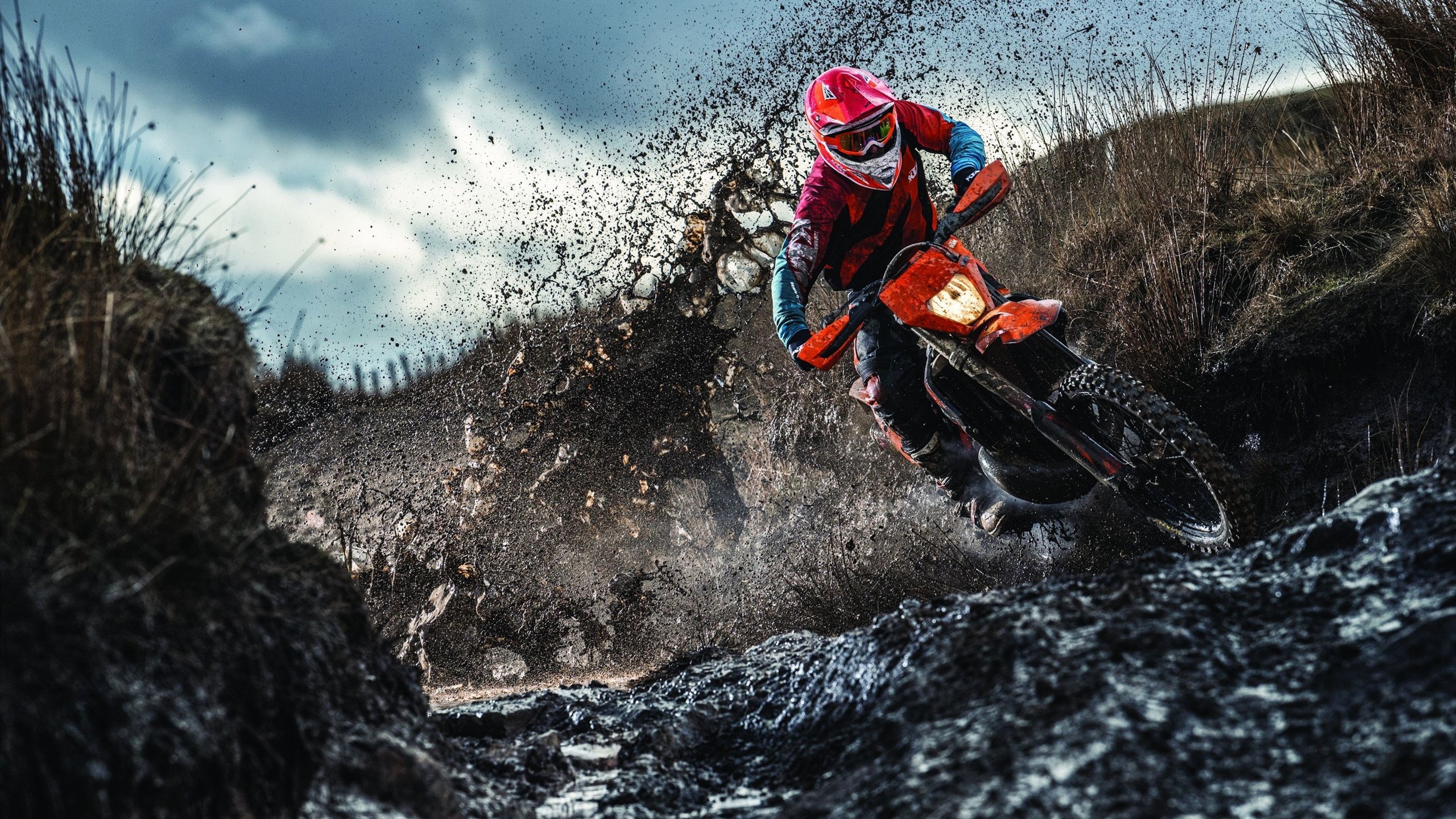 上海海港中场组织能力增强，上海海港队官网